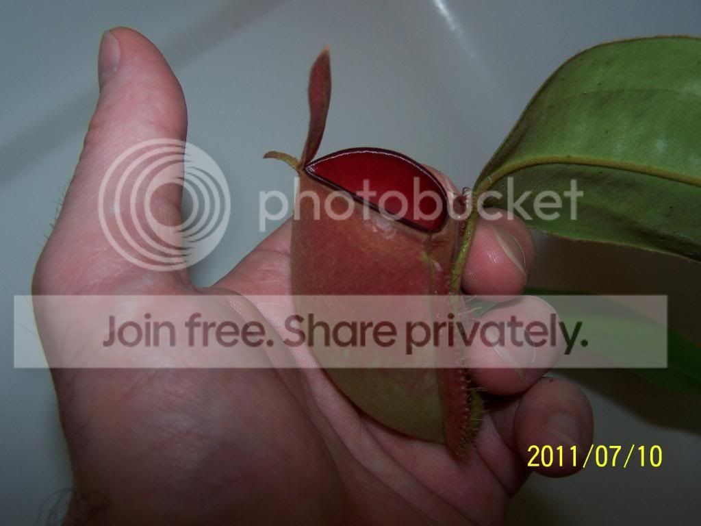 100_4771.jpg