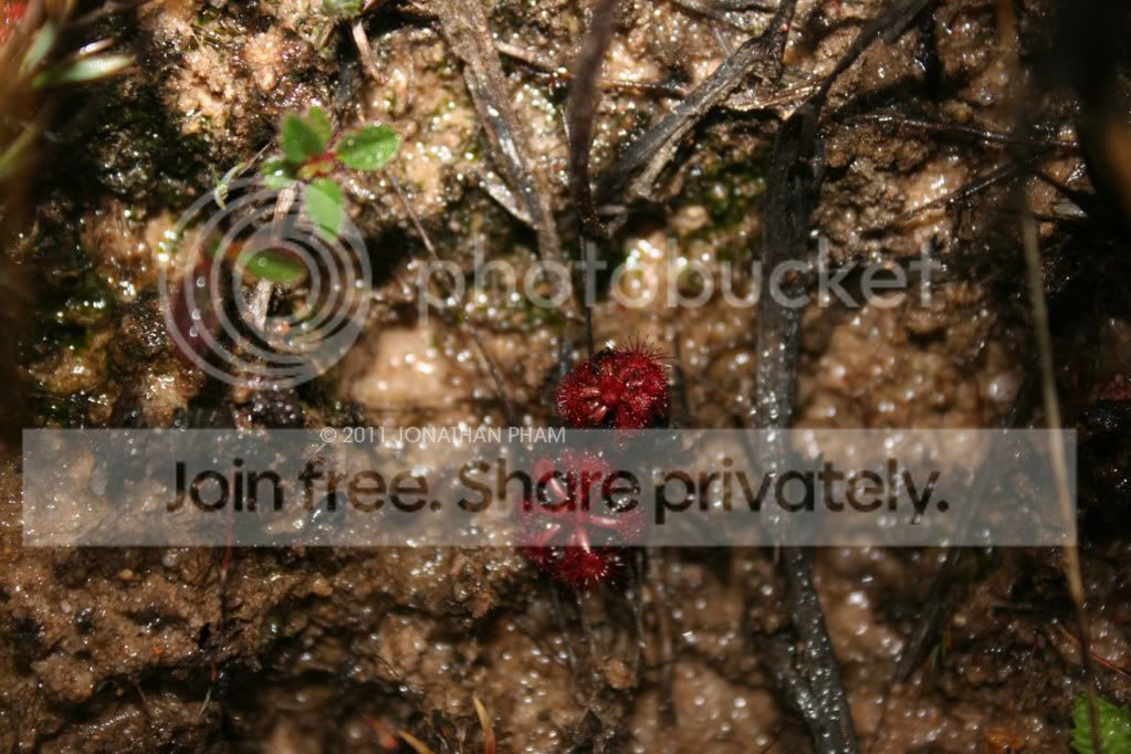IMG_0686.jpg