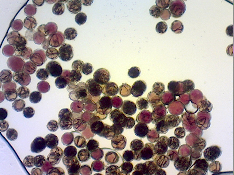 sample2_pic2.jpg