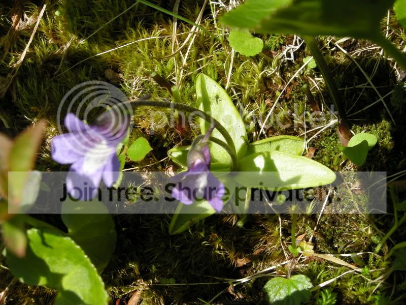 DSCN6243.jpg