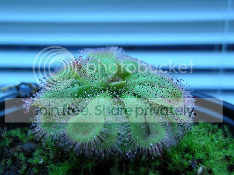 DSCN2536.jpg