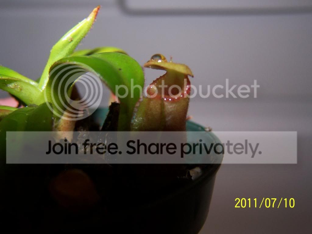 100_4785.jpg