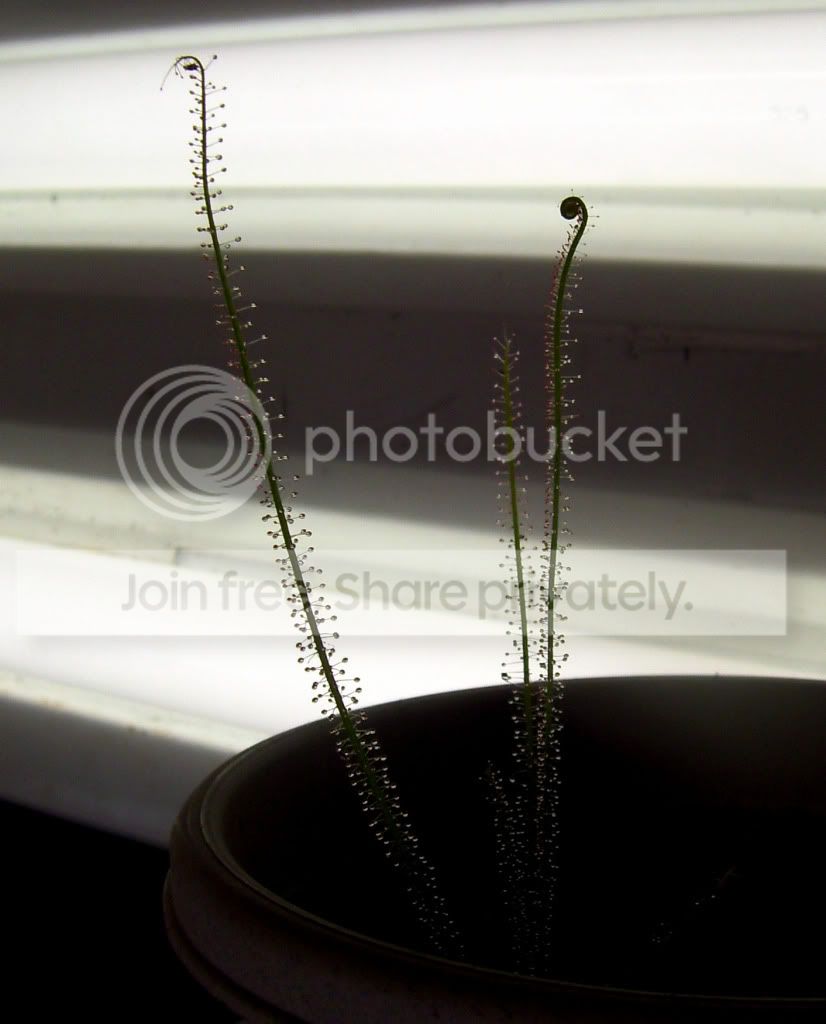 100_7418.jpg