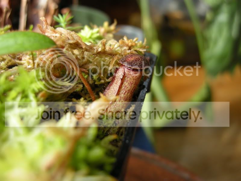 DSCN5856.jpg