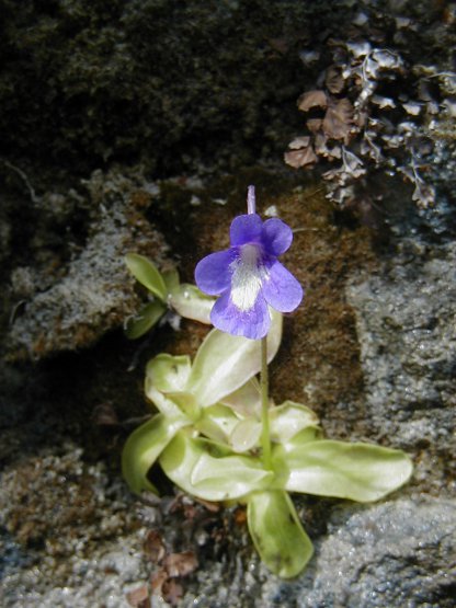 causse22.JPG