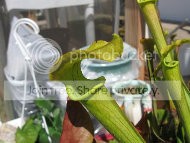 IMG_1254.jpg