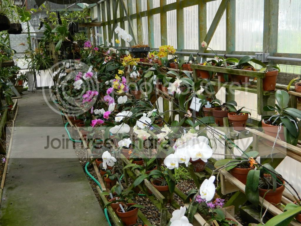DSCN0117.jpg
