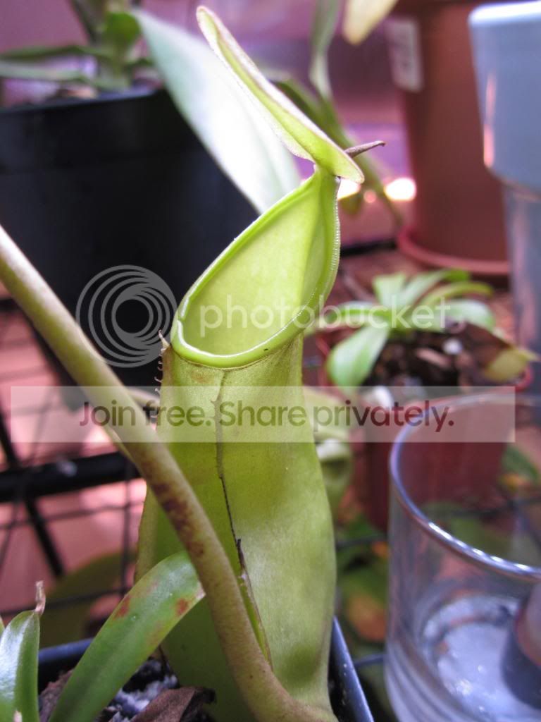 IMG_1350_zpsb2f02e1b.jpg