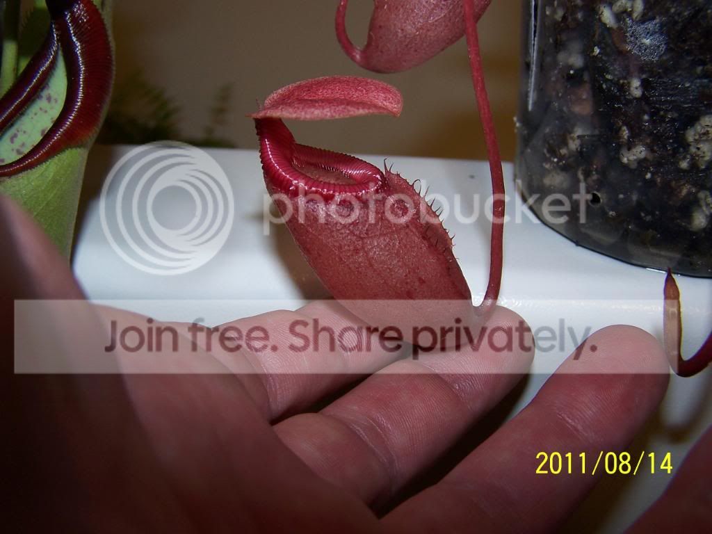 100_5043.jpg