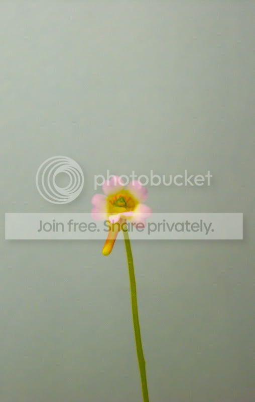 DSCN3496.jpg