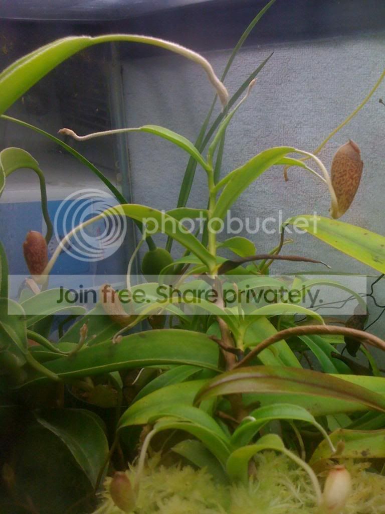 IMG_1738_zps5c4fc30a.jpg