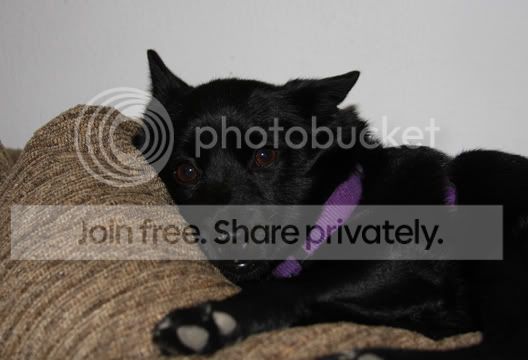 IMG_1774.jpg