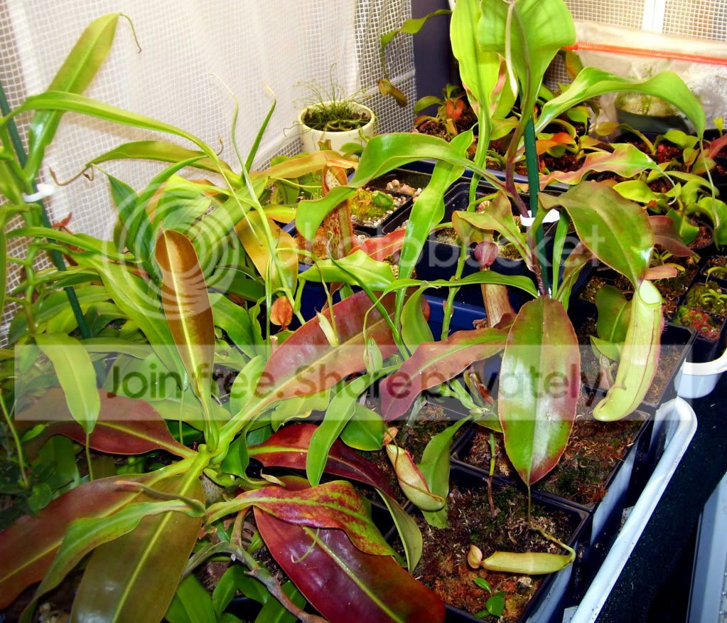100_8052.jpg