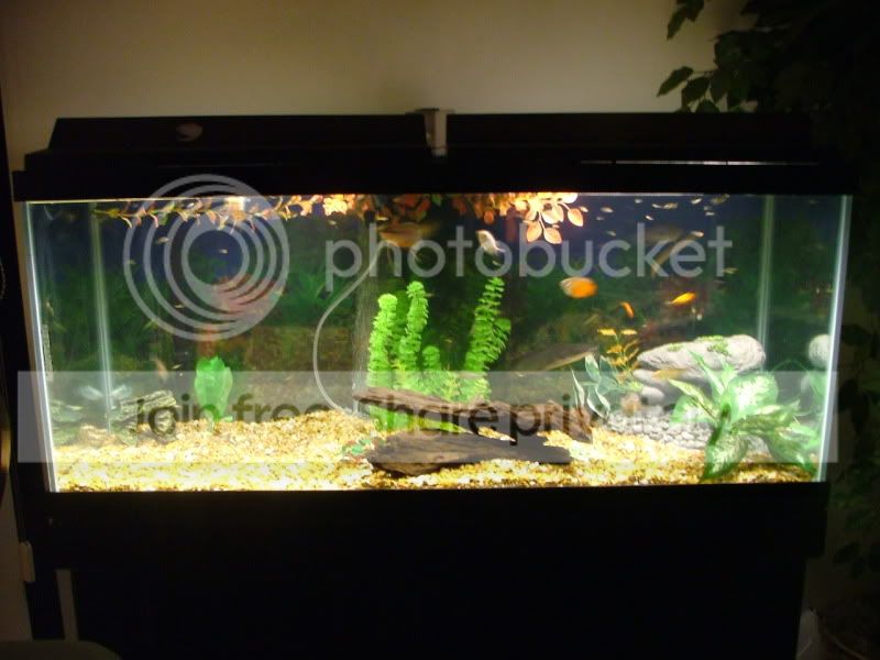 DSCF9662.jpg