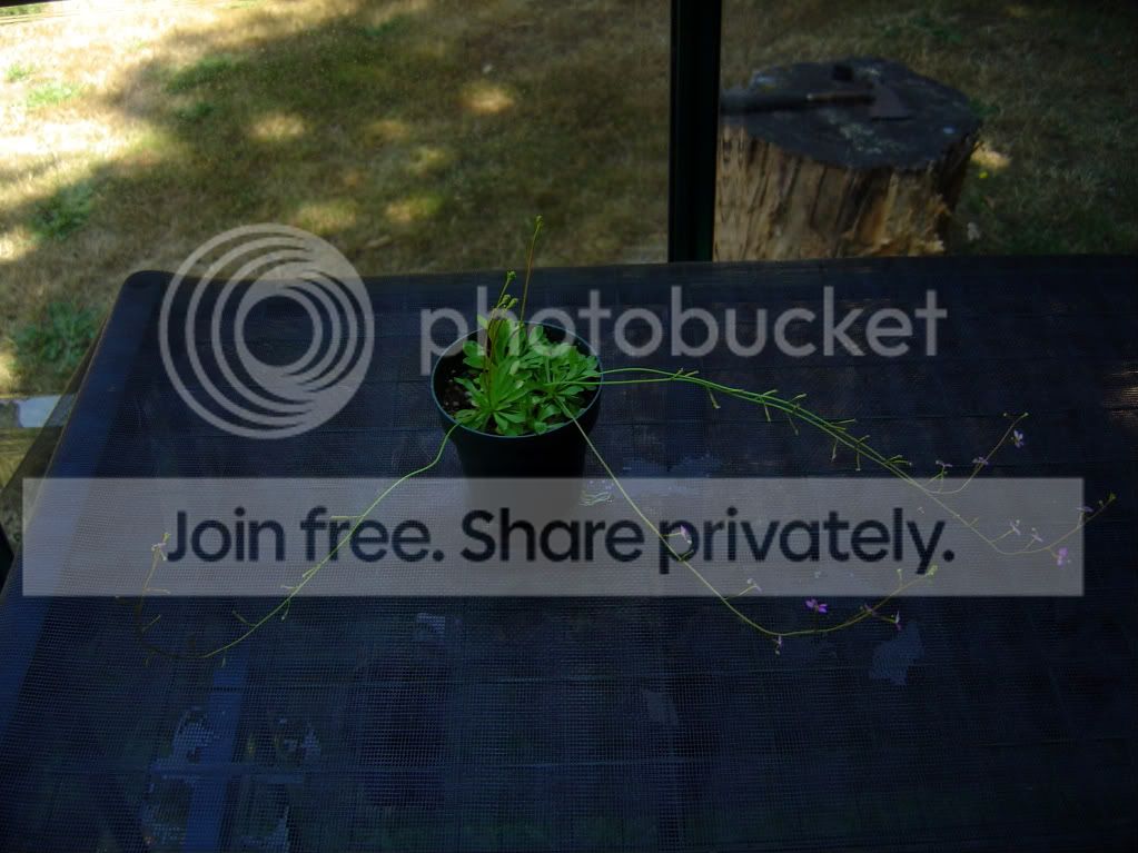 ReturnhomeCPs7-21-09014.jpg