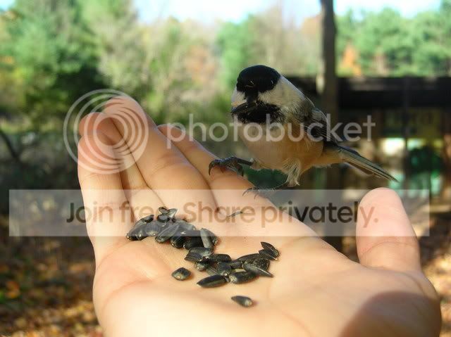 DSCN6056.jpg