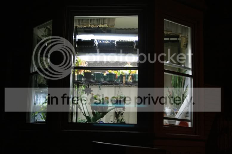 streetview.jpg
