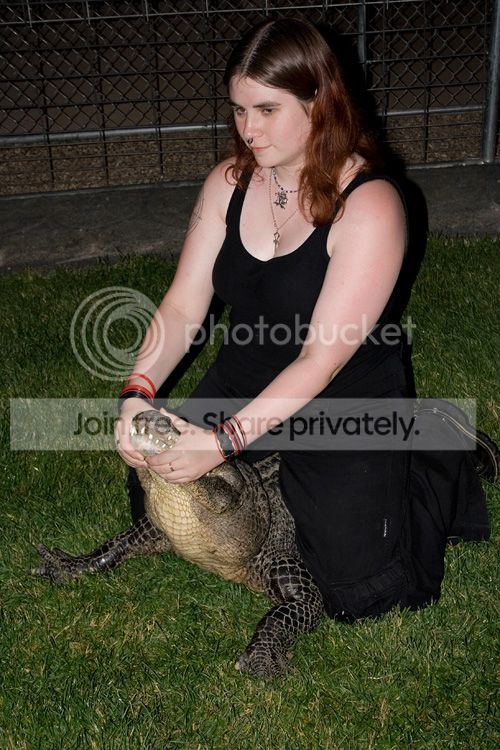 BrieGator.jpg