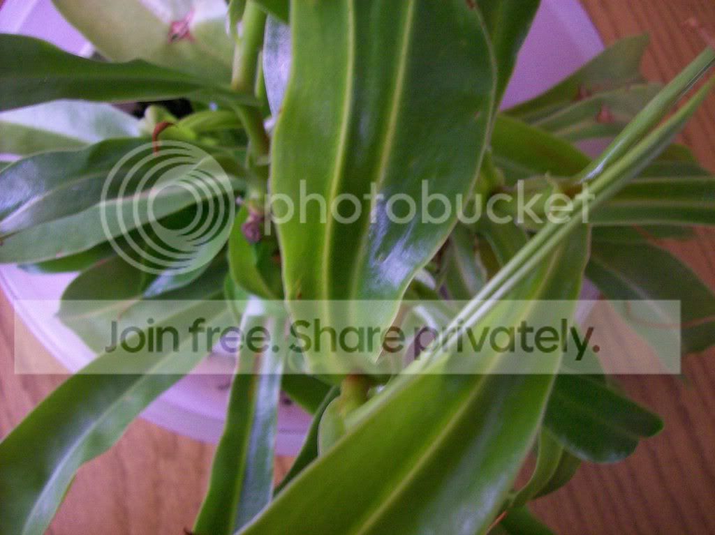 somepics185.jpg