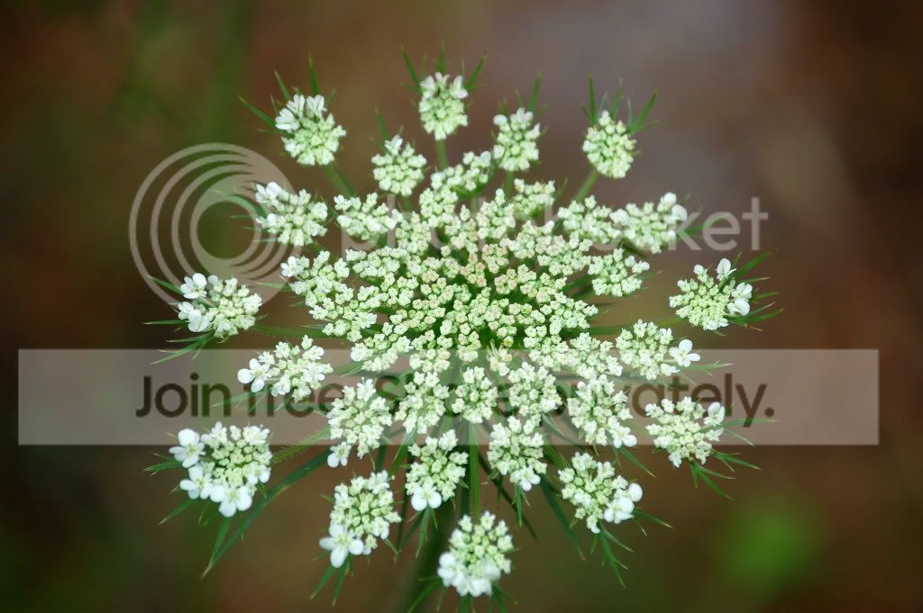 DSC_01570157_2.jpg