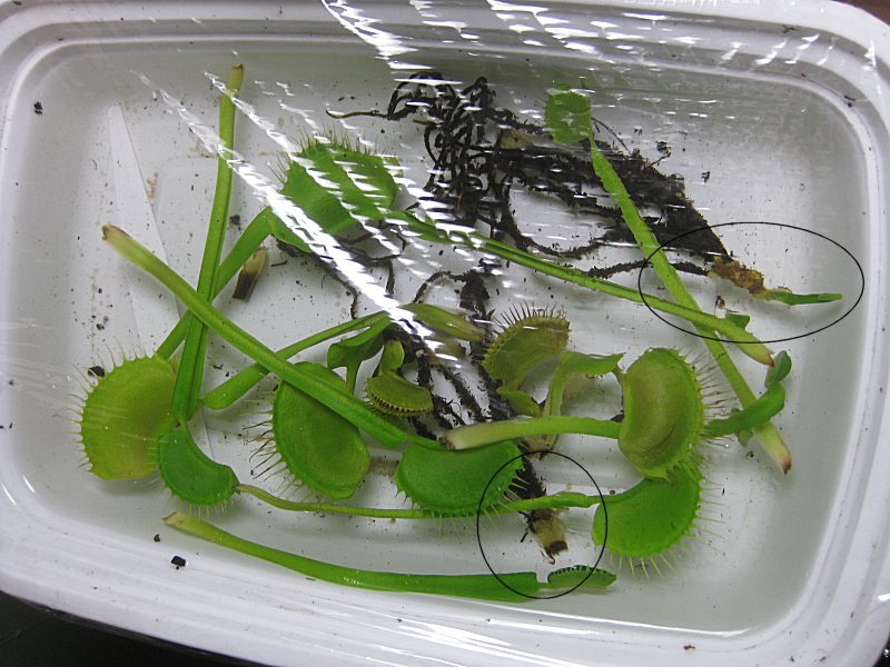 20110507.jpg