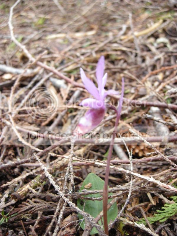 DSCN7399.jpg