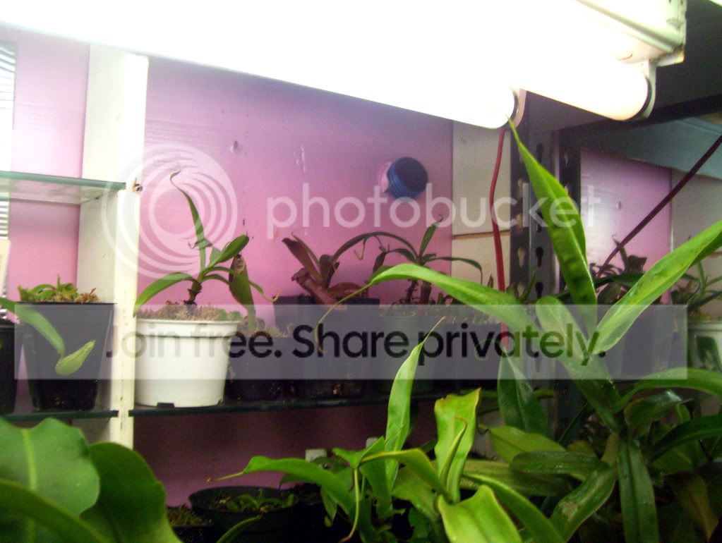 100_4345.jpg