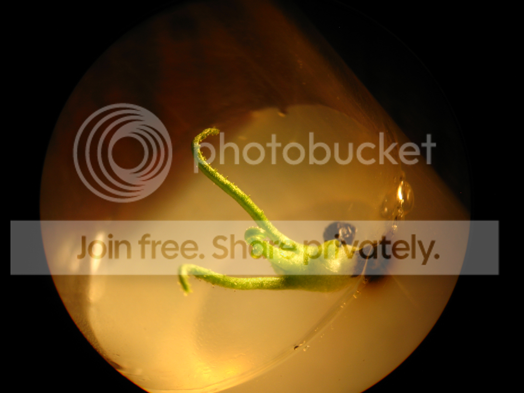 112.png