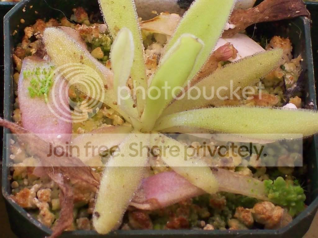 Picture001-20.jpg