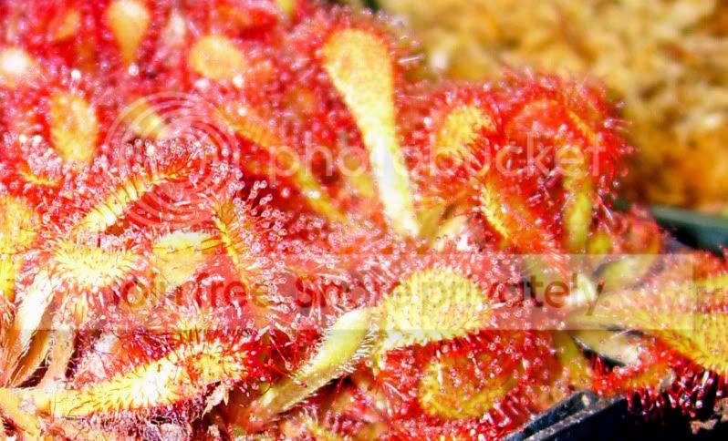 100_2946.jpg