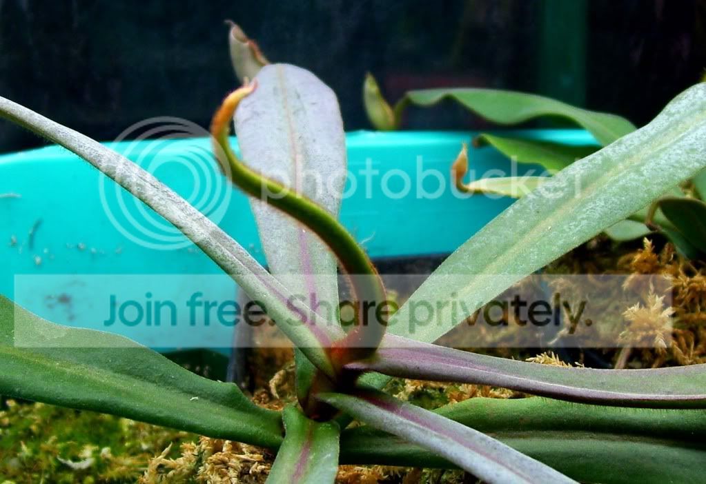 100_7665.jpg