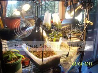 100_1442.jpg