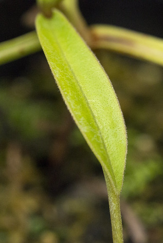 15935181740_71453a0954.jpg