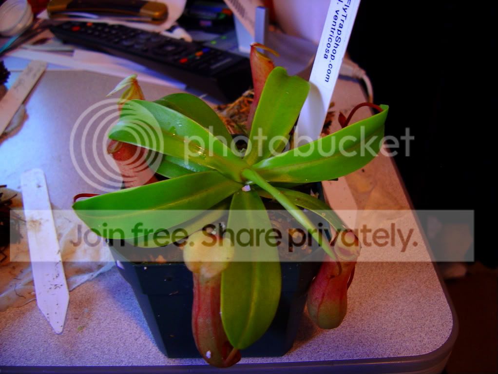 StufffromAndy006.jpg