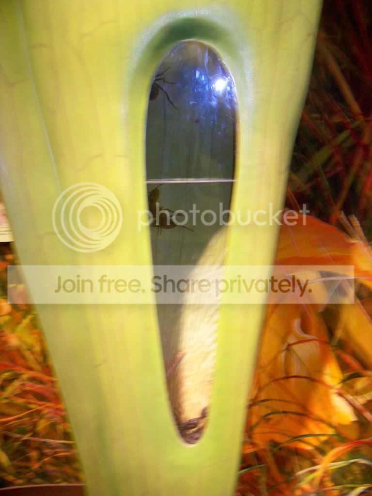 100_3805.jpg