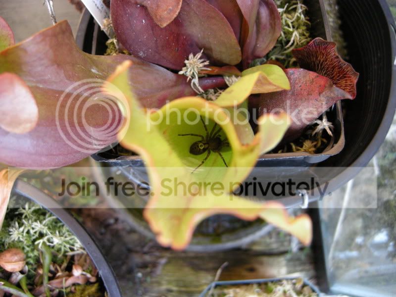 DSCN5995.jpg