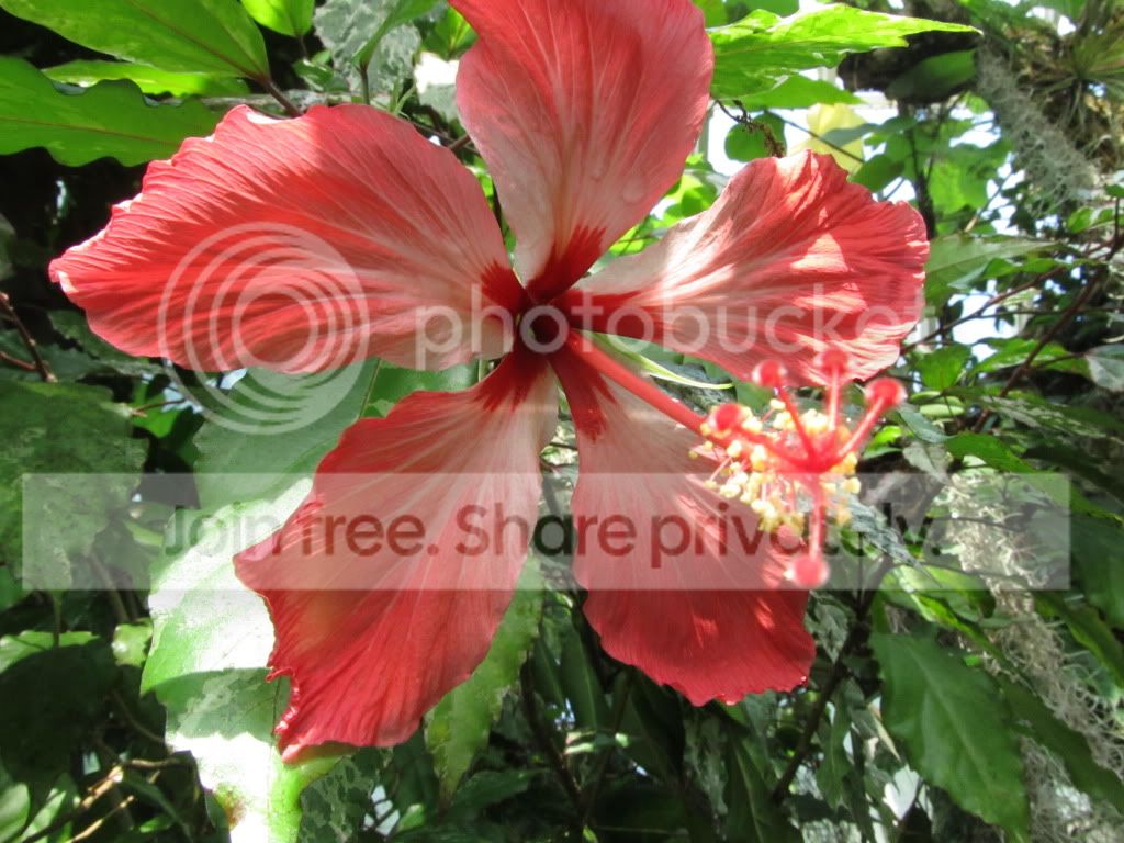 IMG_8338.jpg