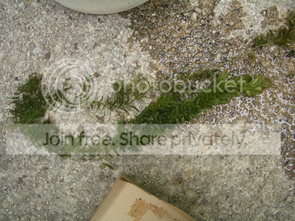 IMGP6767.jpg