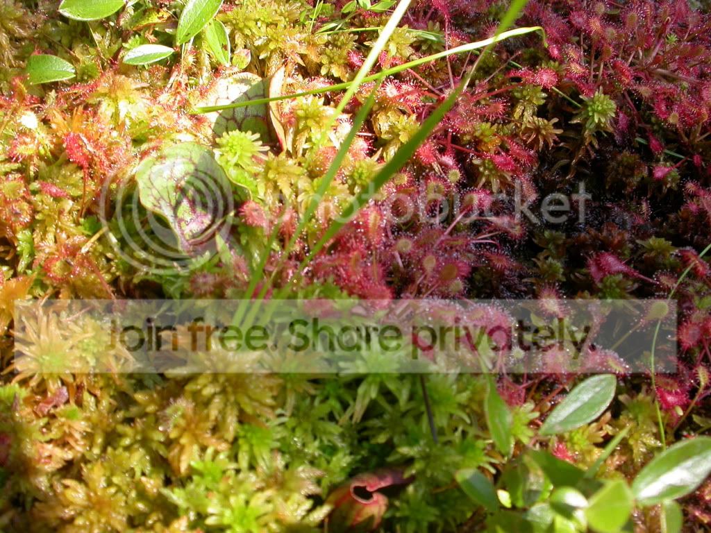 DSCN9148.jpg