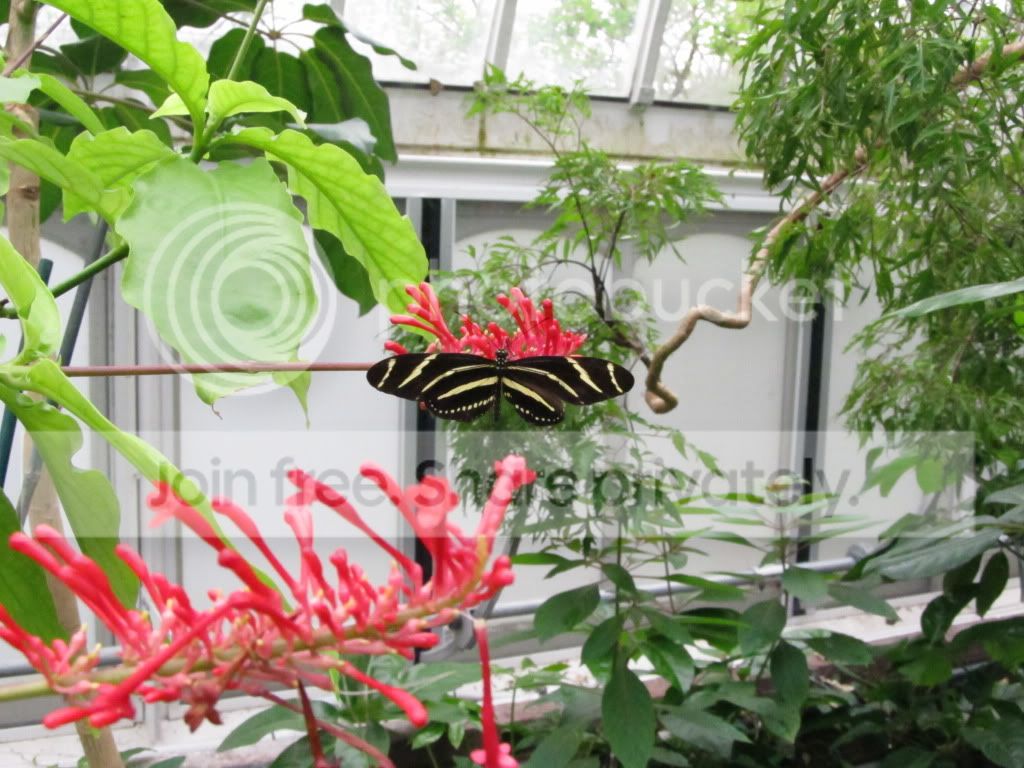 IMG_2633.jpg