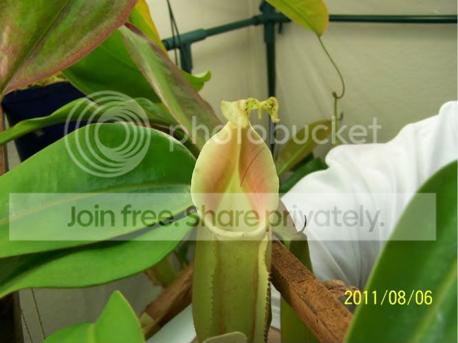 100_4982.jpg