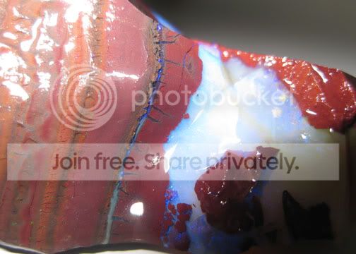 IMG_1193.jpg
