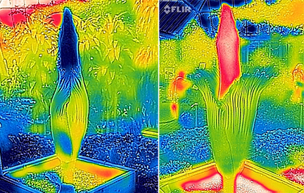 PtPV76f.jpg