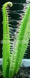IMAG0464-1_zps17b7962c.jpg