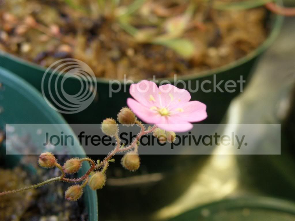 PA310274.jpg