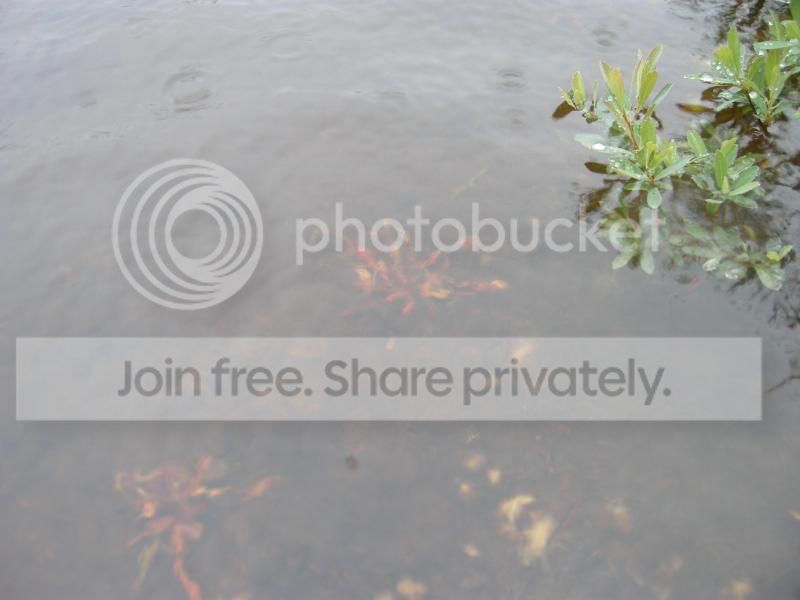 DSCN7545.jpg