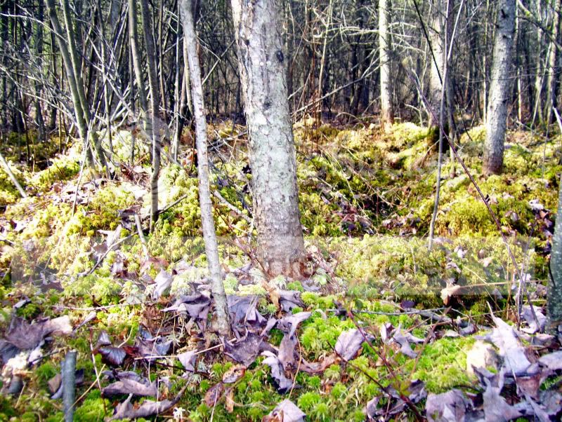 100_3290.jpg