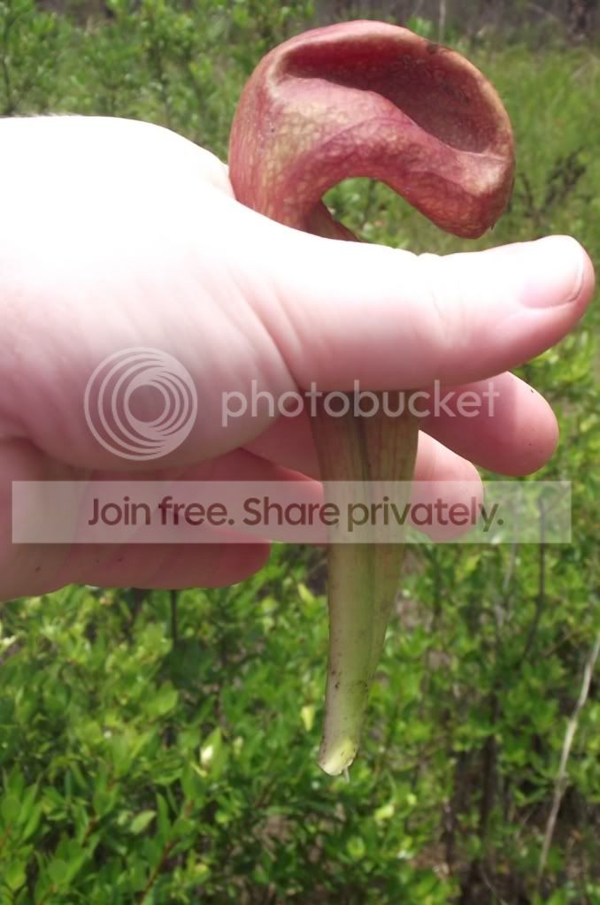 DSCF8309.jpg