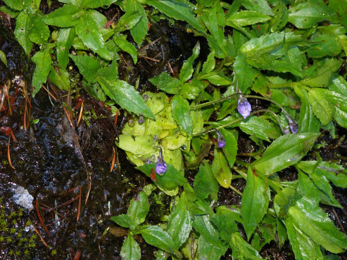 mini_P6198184.jpg