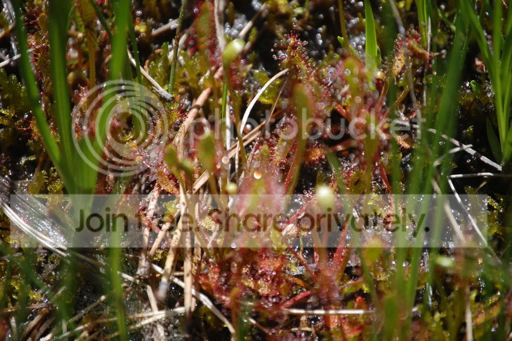 DSC_01330002.jpg